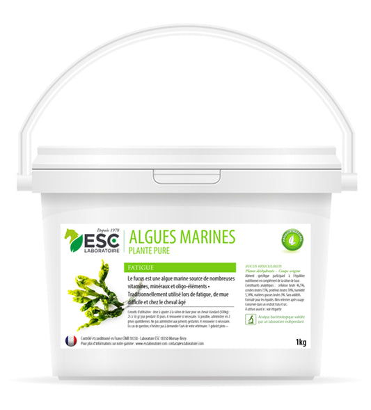 ALGUES MARINES ESC – Fatigue et baisse de forme cheval – Plante pure