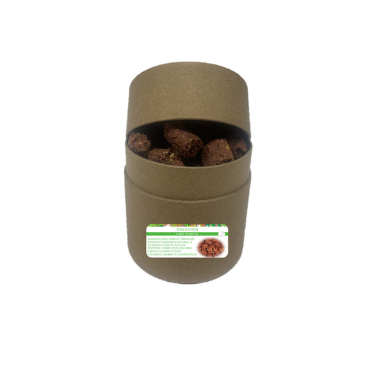 FRIANDISES CHIENS aux insectes