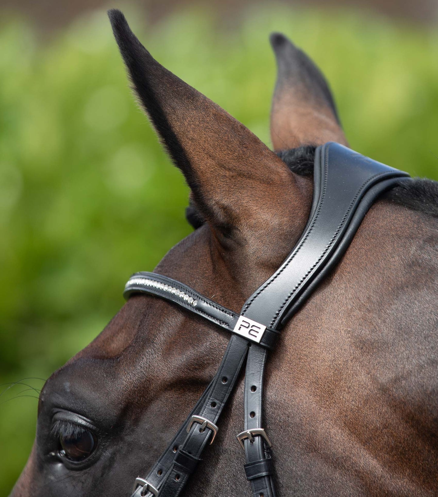 Têtière anatomique PREMIER EQUINE