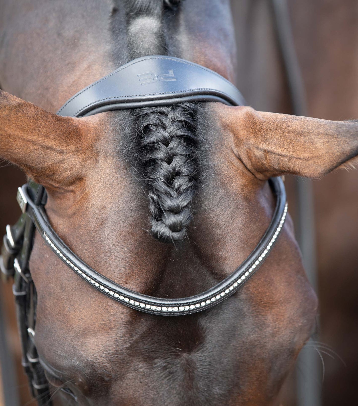 Têtière anatomique PREMIER EQUINE