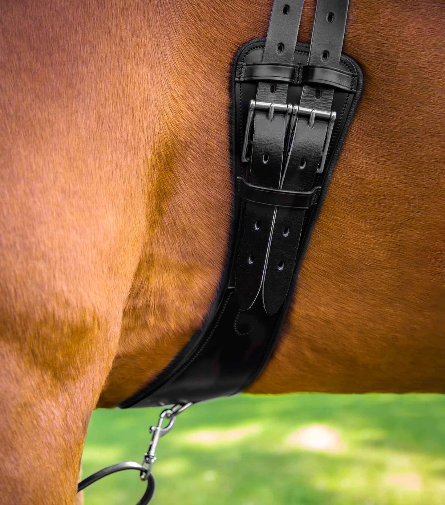 Sangle anatomique en cuir PREMIER EQUINE Tamarro courte