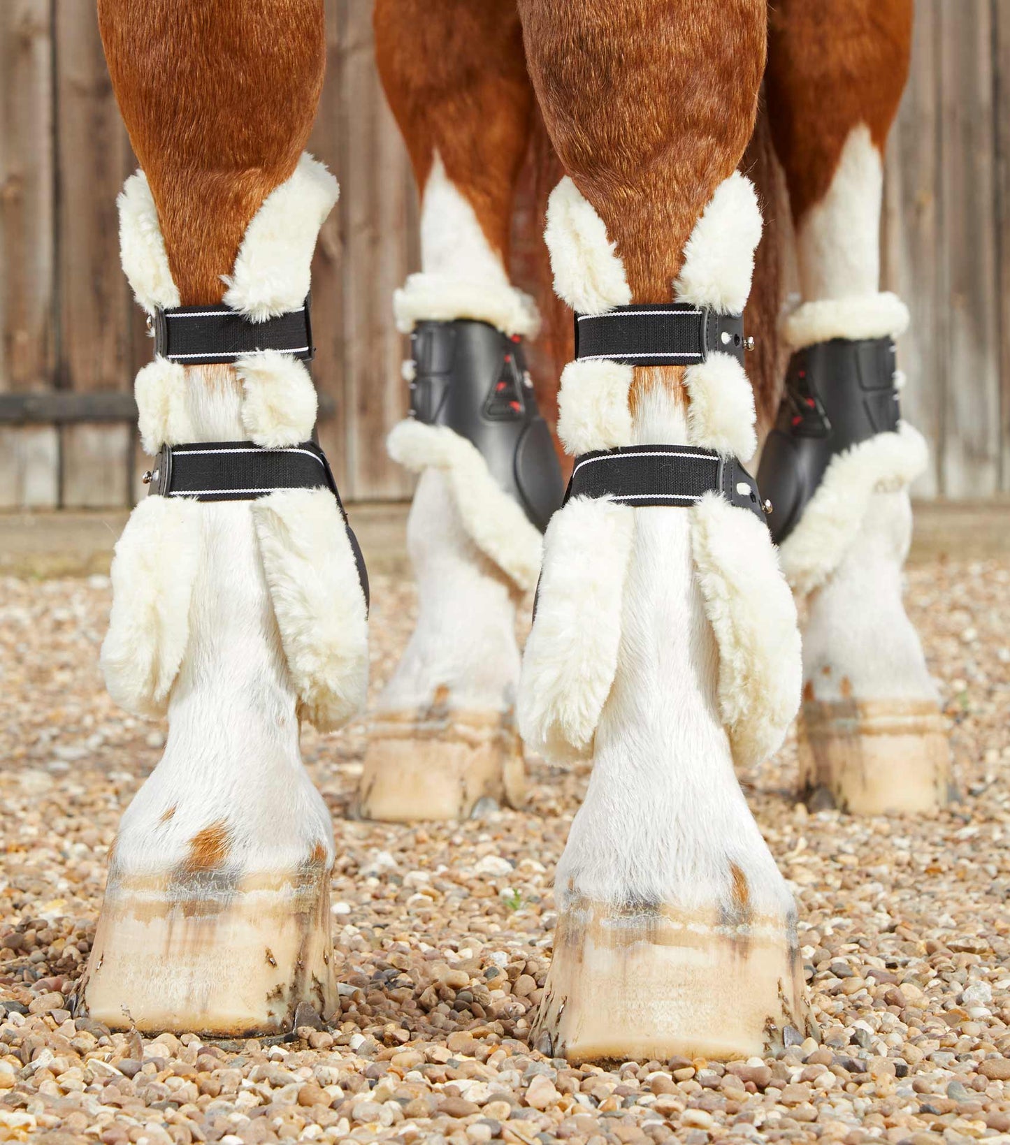 Protège-tendon PREMIER EQUINE en mouton