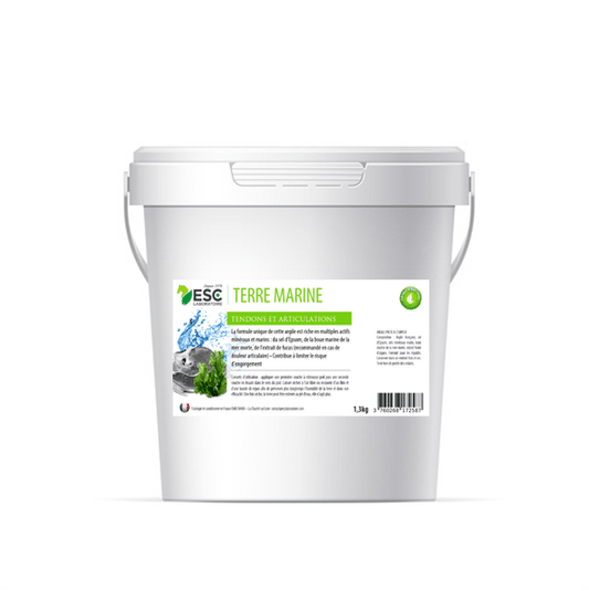 TERRE MARINE ESC – Argile cheval enrichie en minéraux marins – Prêt à l’emploi