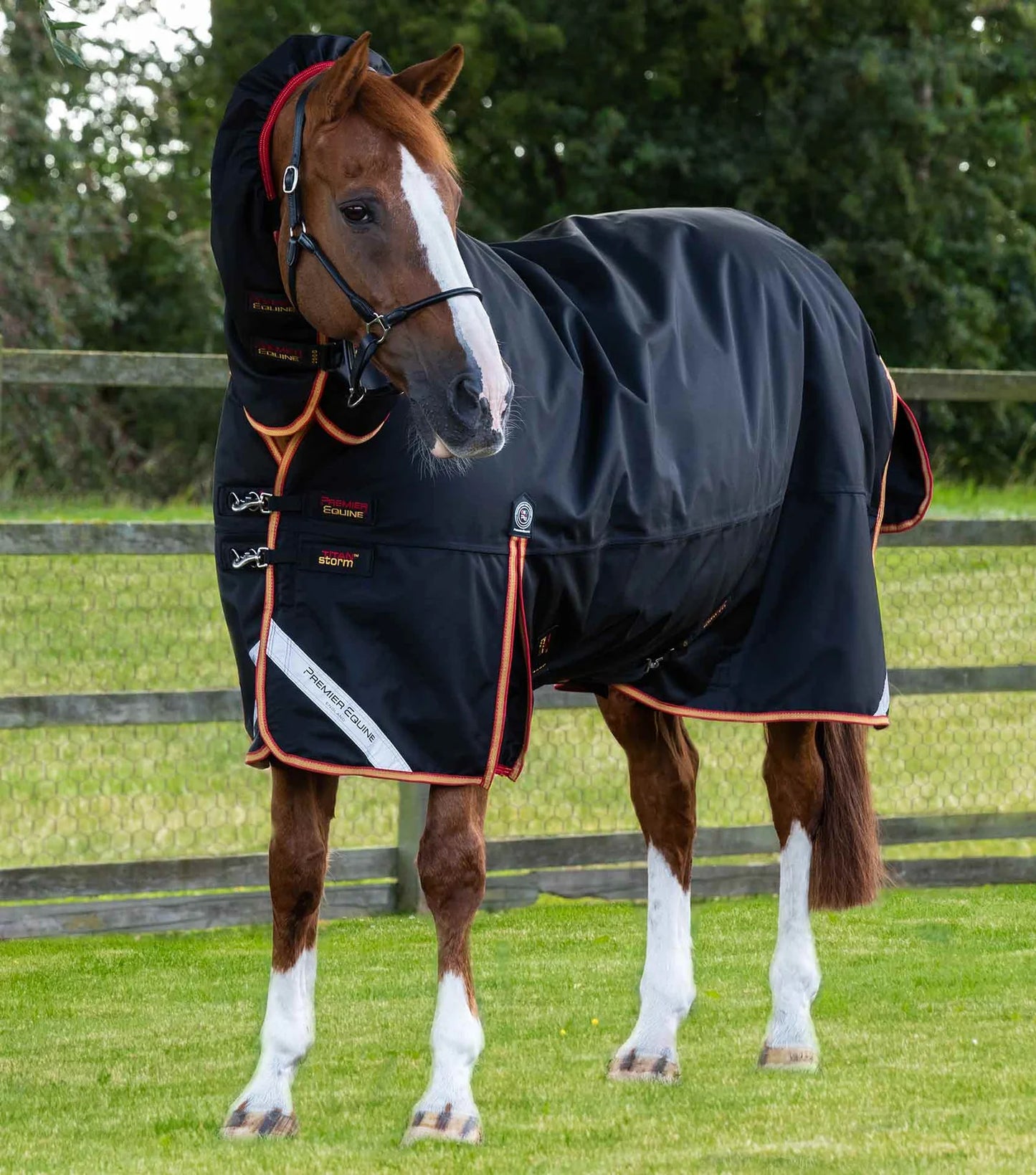 Couverture d'extérieur PREMIER EQUINE "TITAN 1680D" Storm 450g Combo avec couvre-cou ajusté intégré