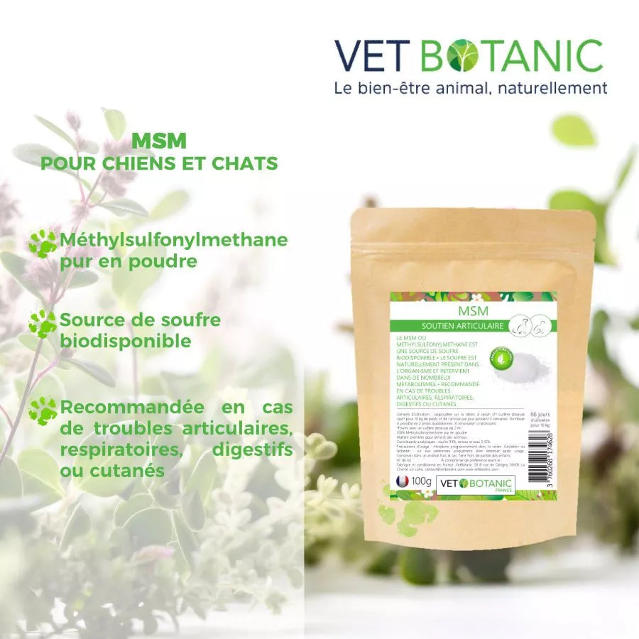 MSM – Soutien articulaire du chien et du chat