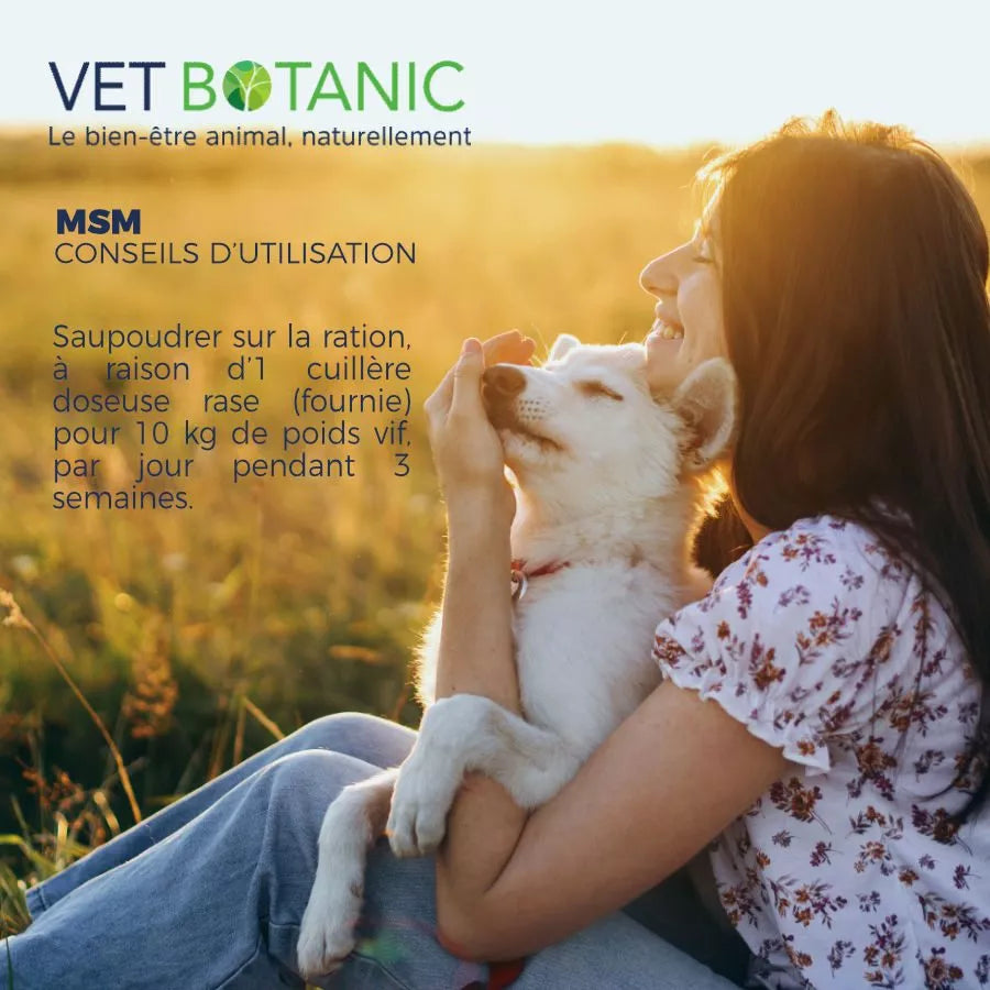 MSM – Soutien articulaire du chien et du chat
