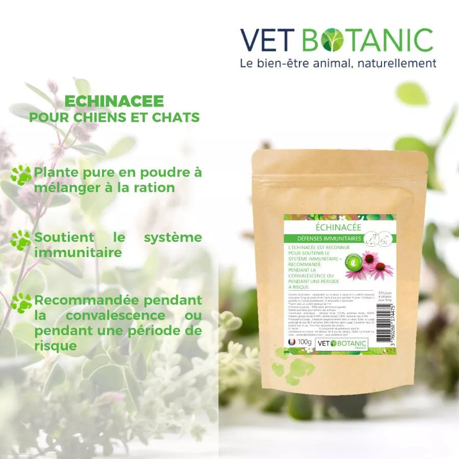 ÉCHINACÉE Plante pure en poudre – Défenses immunitaires chiens et chats