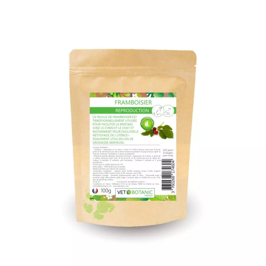 FRAMBOISIER Feuilles en poudre – Reproduction chiens et chats
