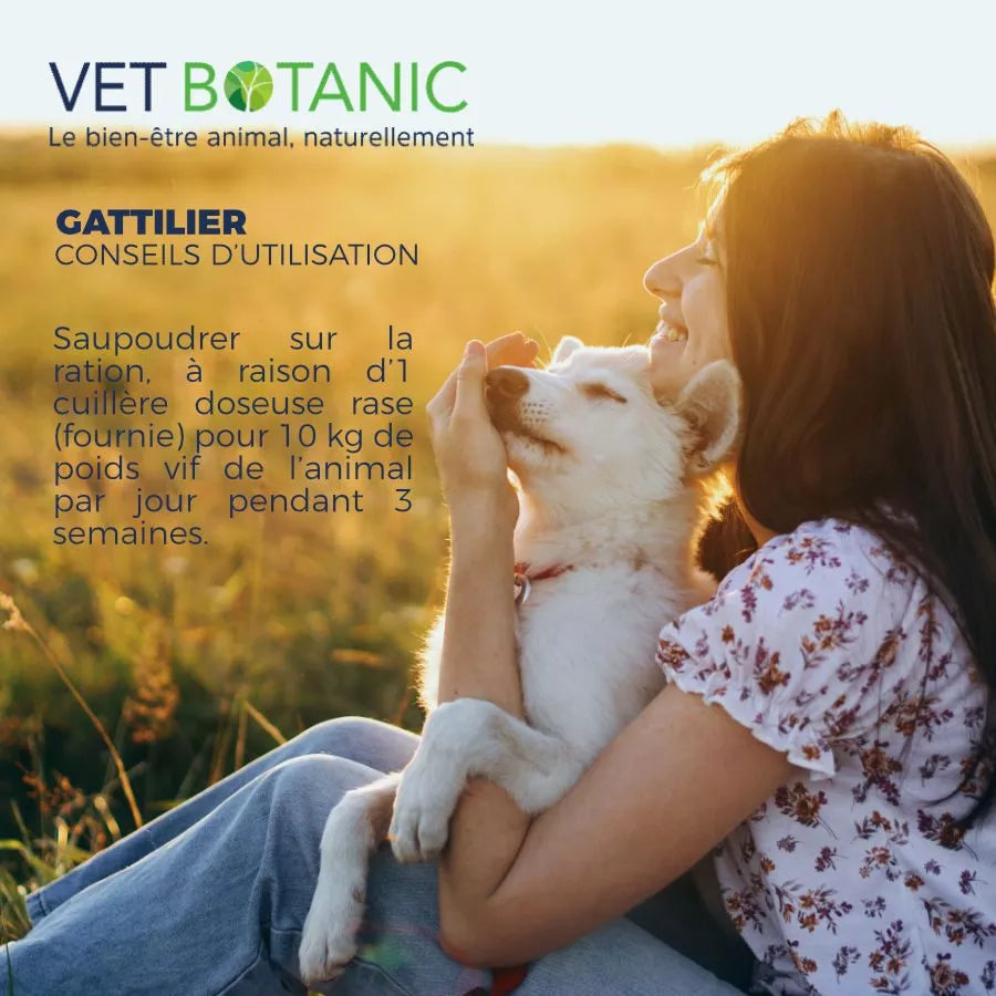 GATTILIER Graine pure en poudre – Equilibre hormonal chiens et chats