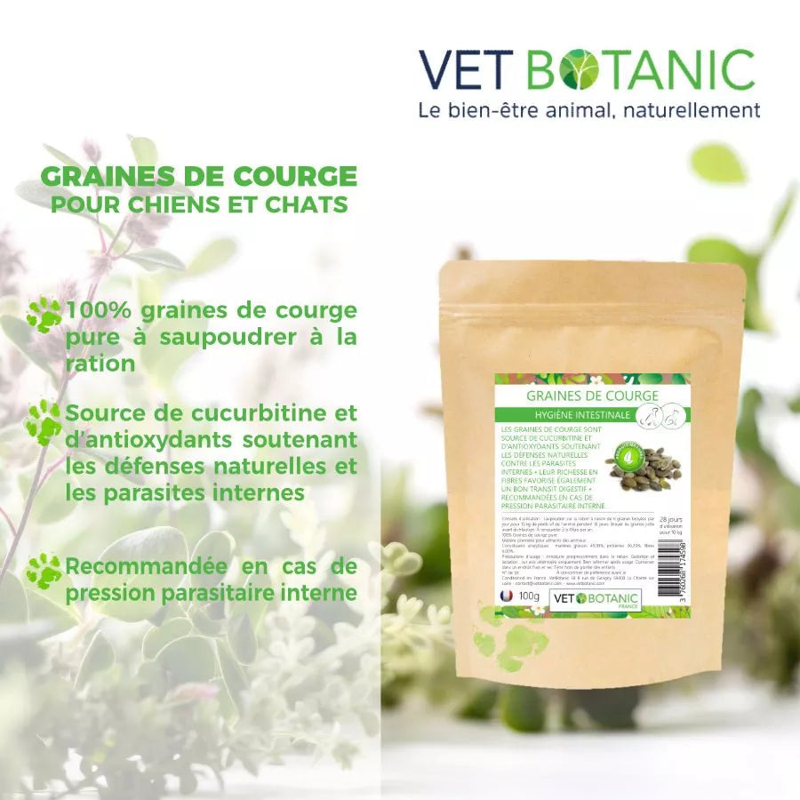 GRAINES DE COURGE pures – Hygiène intestinale chiens et chats