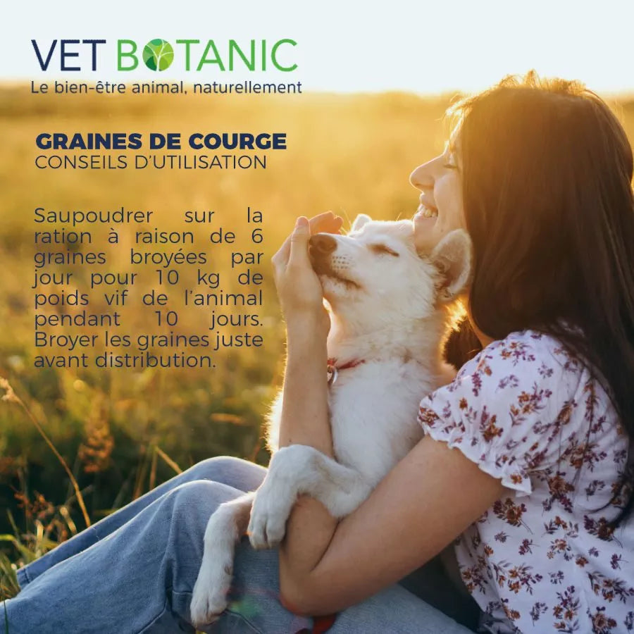 GRAINES DE COURGE pures – Hygiène intestinale chiens et chats