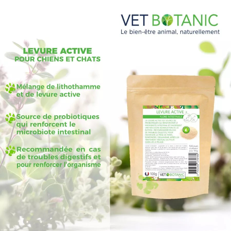 LEVURE ACTIVE + pour troubles digestifs, prise de poids, renfort de l'organisme et beauté du pelage