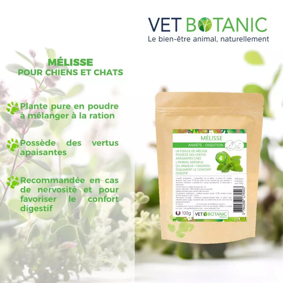 MELISSE Plante pure en poudre – Anxiété et digestion chiens et chats