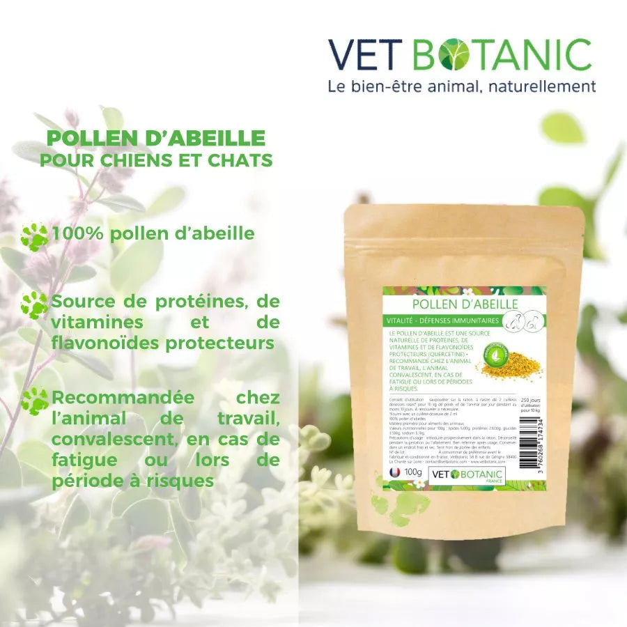 POLLEN D’ABEILLES – Vitalité et défenses immunitaires chiens et chats
