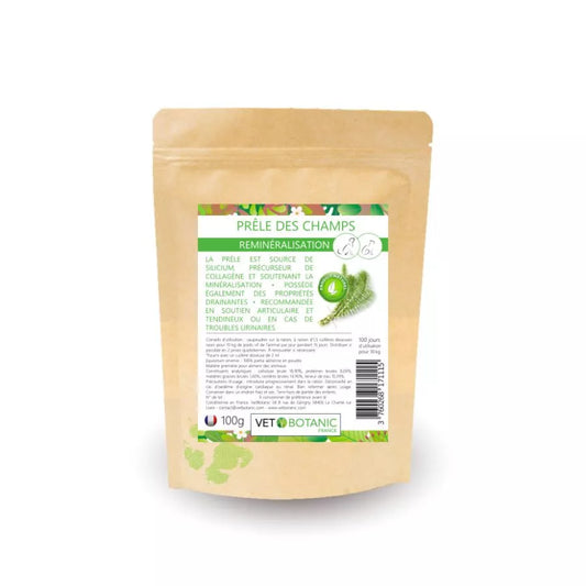 PRÊLE DES CHAMPS – Plante pure en poudre – Reminéralisation chiens et chats