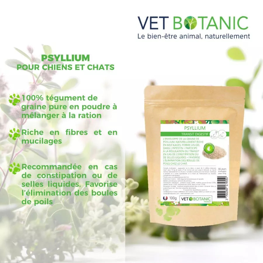 PSYLLIUM tégument pur en poudre – Transit digestif chiens et chats