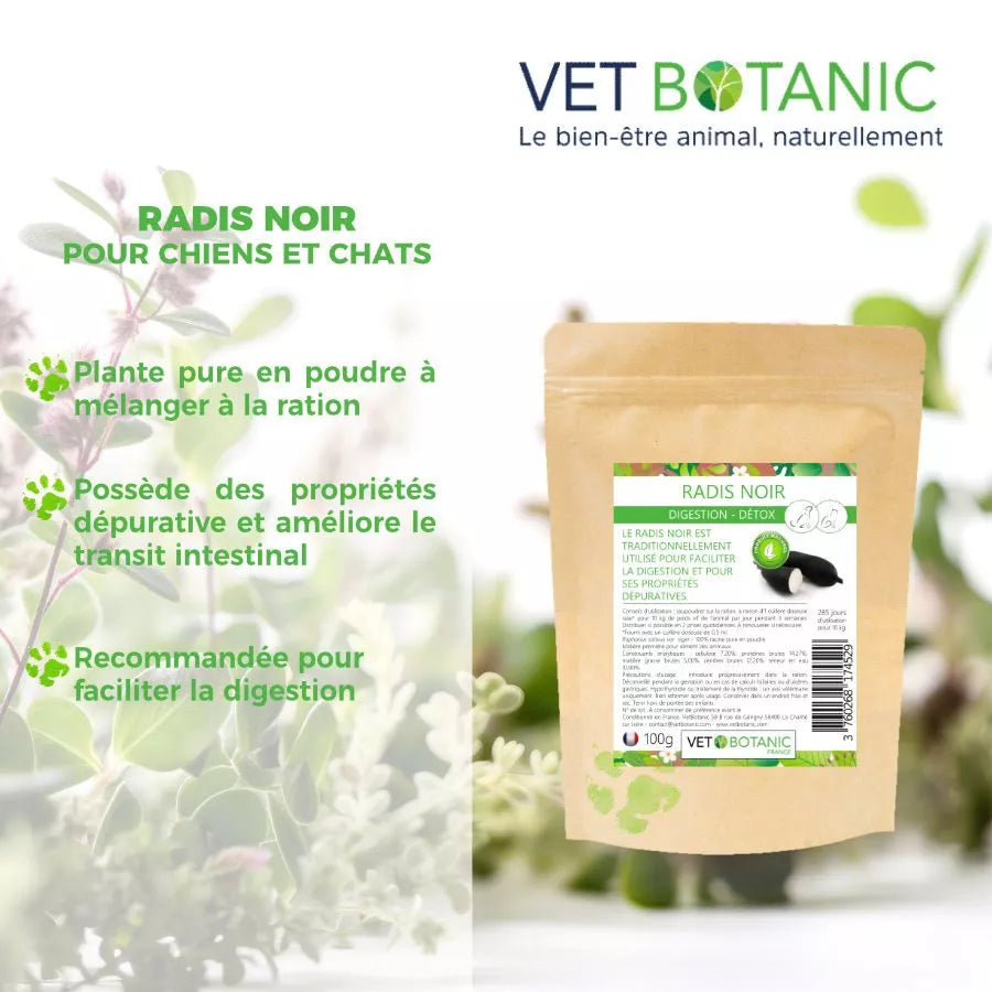 RADIS NOIR Plante pure en poudre – Digestion et détox chiens et chats
