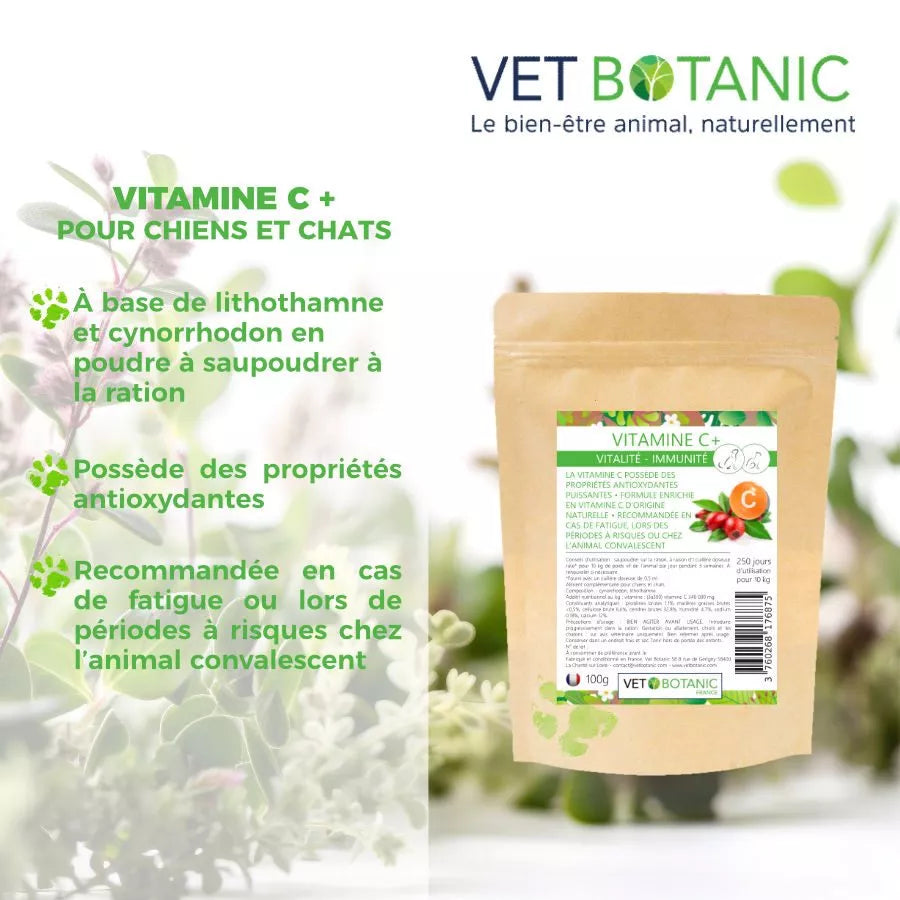 VITAMINE C + – Vitalité et Immunité chiens et chats