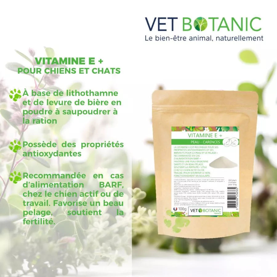 VITAMINE E + – Peau et carences chez le chien et le chat