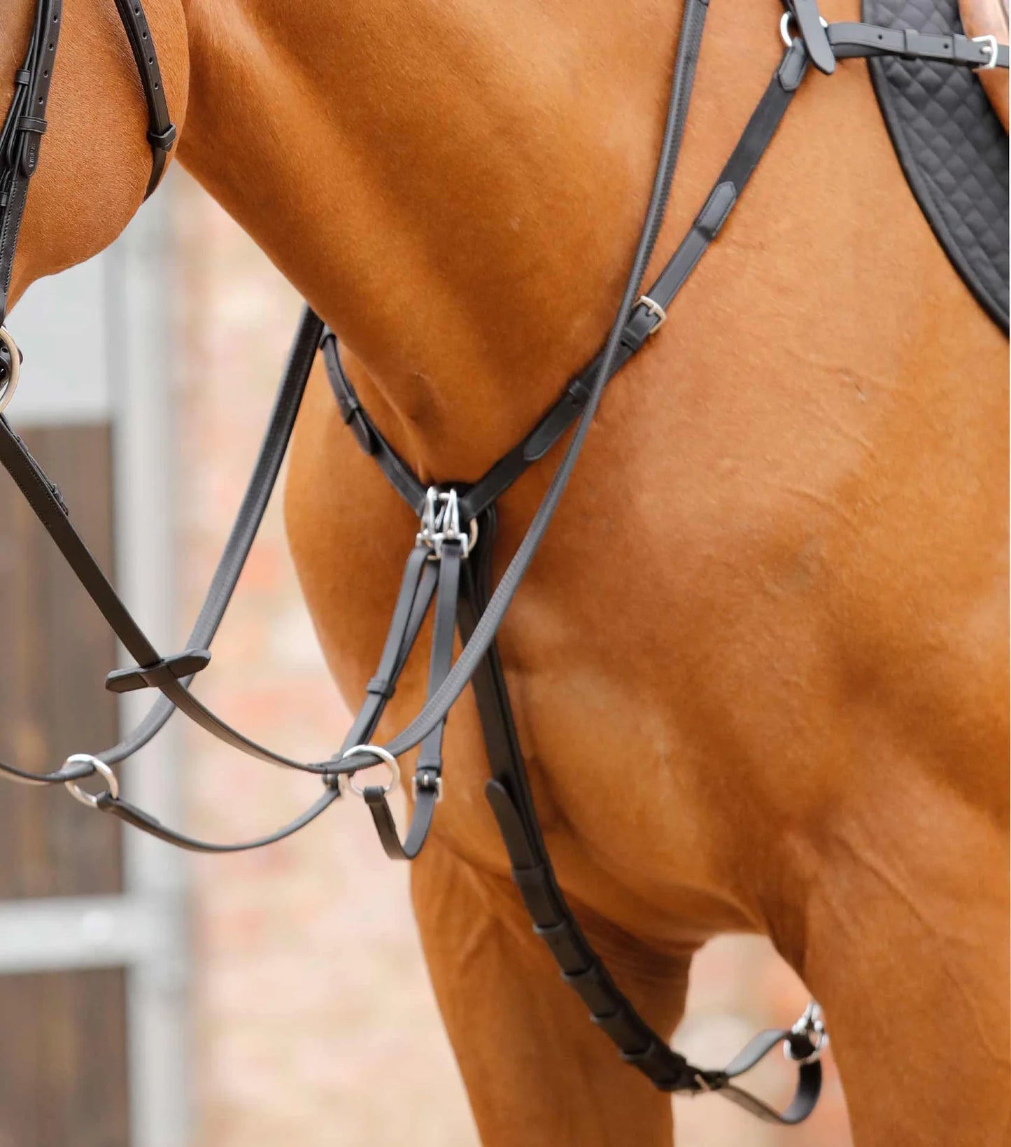 Collier de chasse PREMIER EQUINE Valbrona Performance