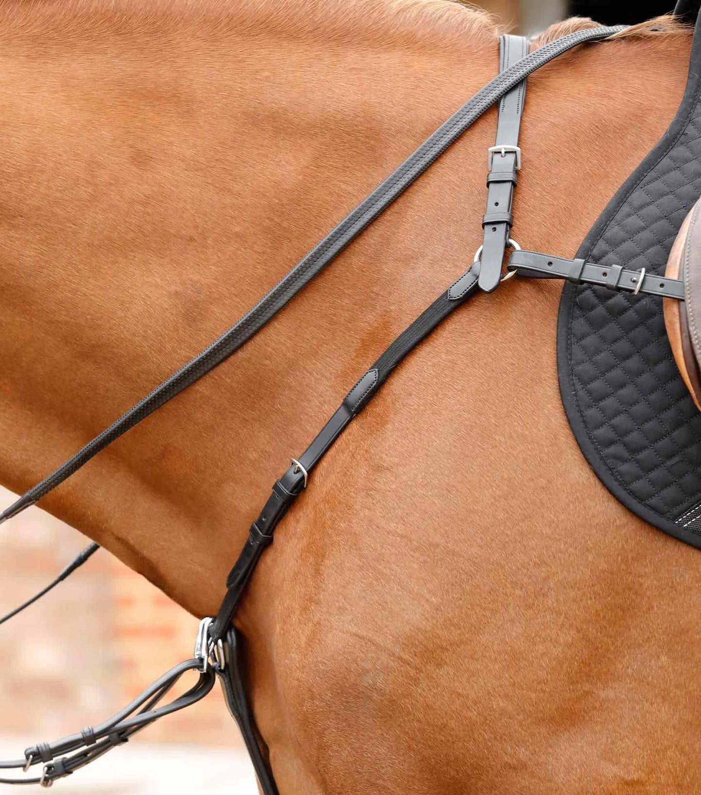 Collier de chasse PREMIER EQUINE Valbrona Performance