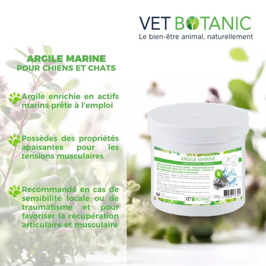 ARGILE MARINE ENRICHIE EN MINERAUX prête à l’emploi pour chiens et chats – Articulations et muscles