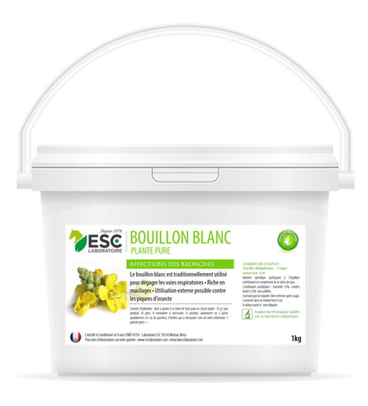 BOUILLON BLANC  ESC – Irritation et encombrement des bronches cheval – Plante pure