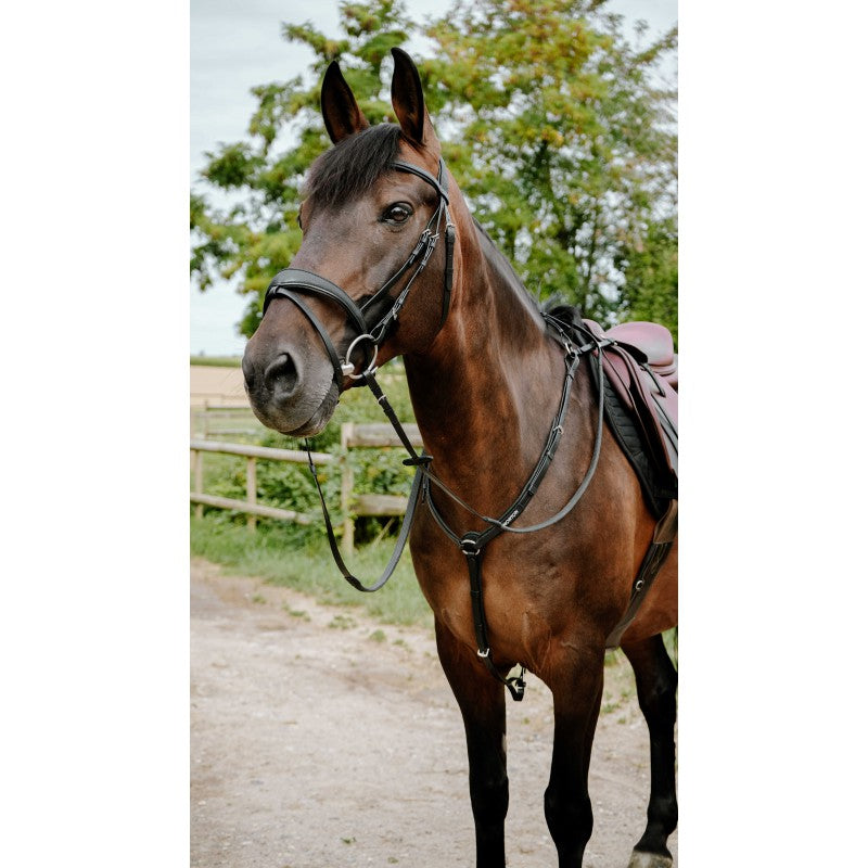 Bridon endurance NORTON - Pop - 4 coloris - 2 tailles