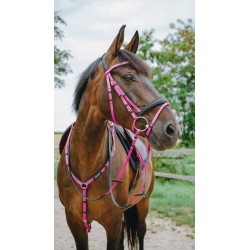 Bridon endurance NORTON - Pop - 4 coloris - 2 tailles