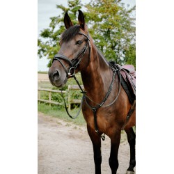 Bridon endurance NORTON - Pop - 4 coloris - 2 tailles