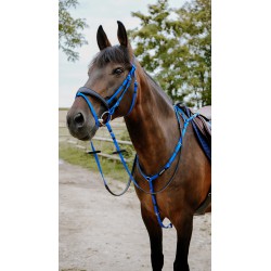 Bridon endurance NORTON - Pop - 4 coloris - 2 tailles