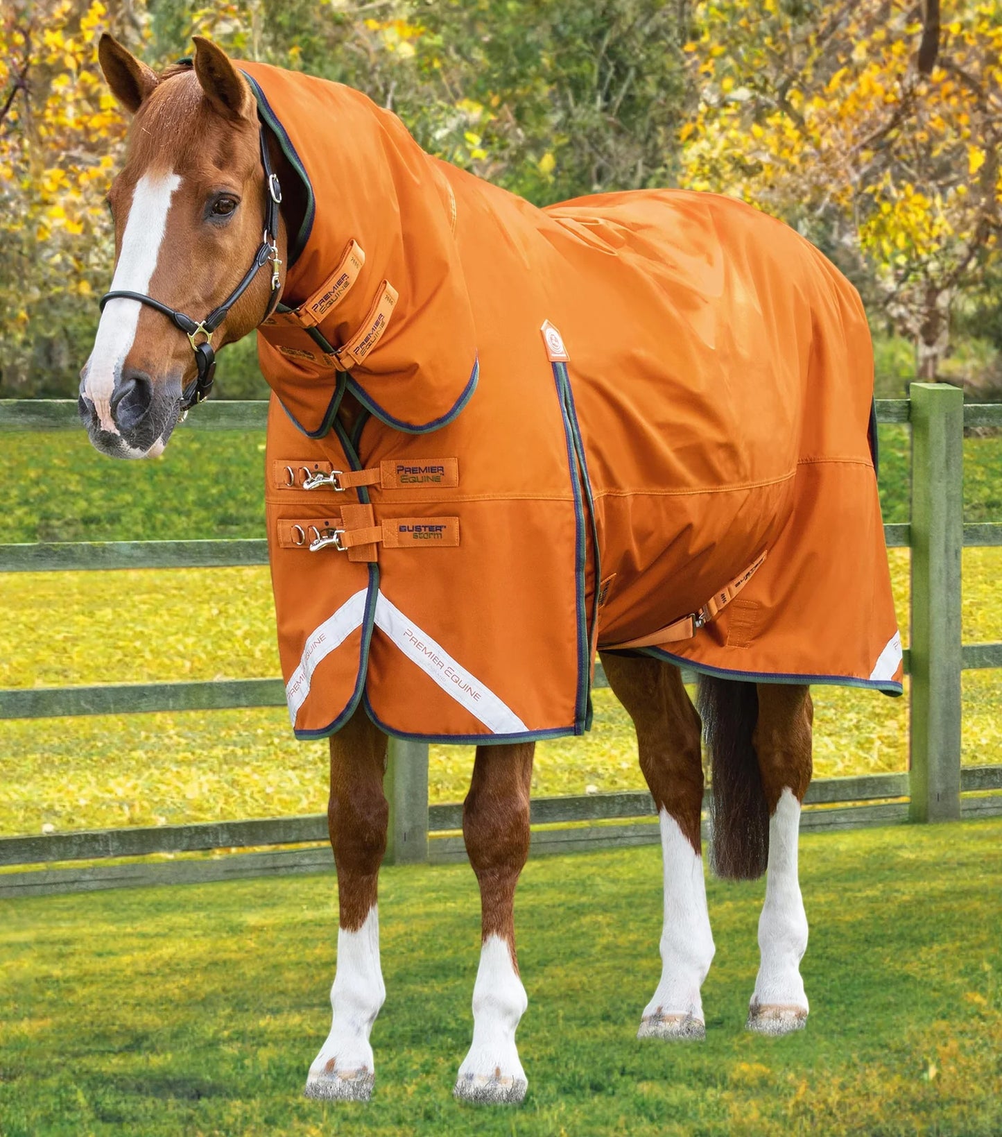 Couverture d'extérieur PREMIER EQUINE "BUSTER 840D" Storm 400g Combo avec couvre-cou classique intégré