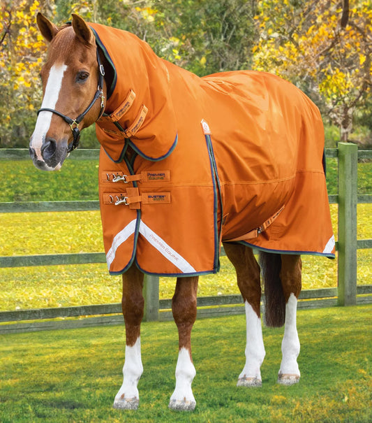 Couverture d'extérieur PREMIER EQUINE "BUSTER 840D" Storm 400g Combo avec couvre-cou classique intégré