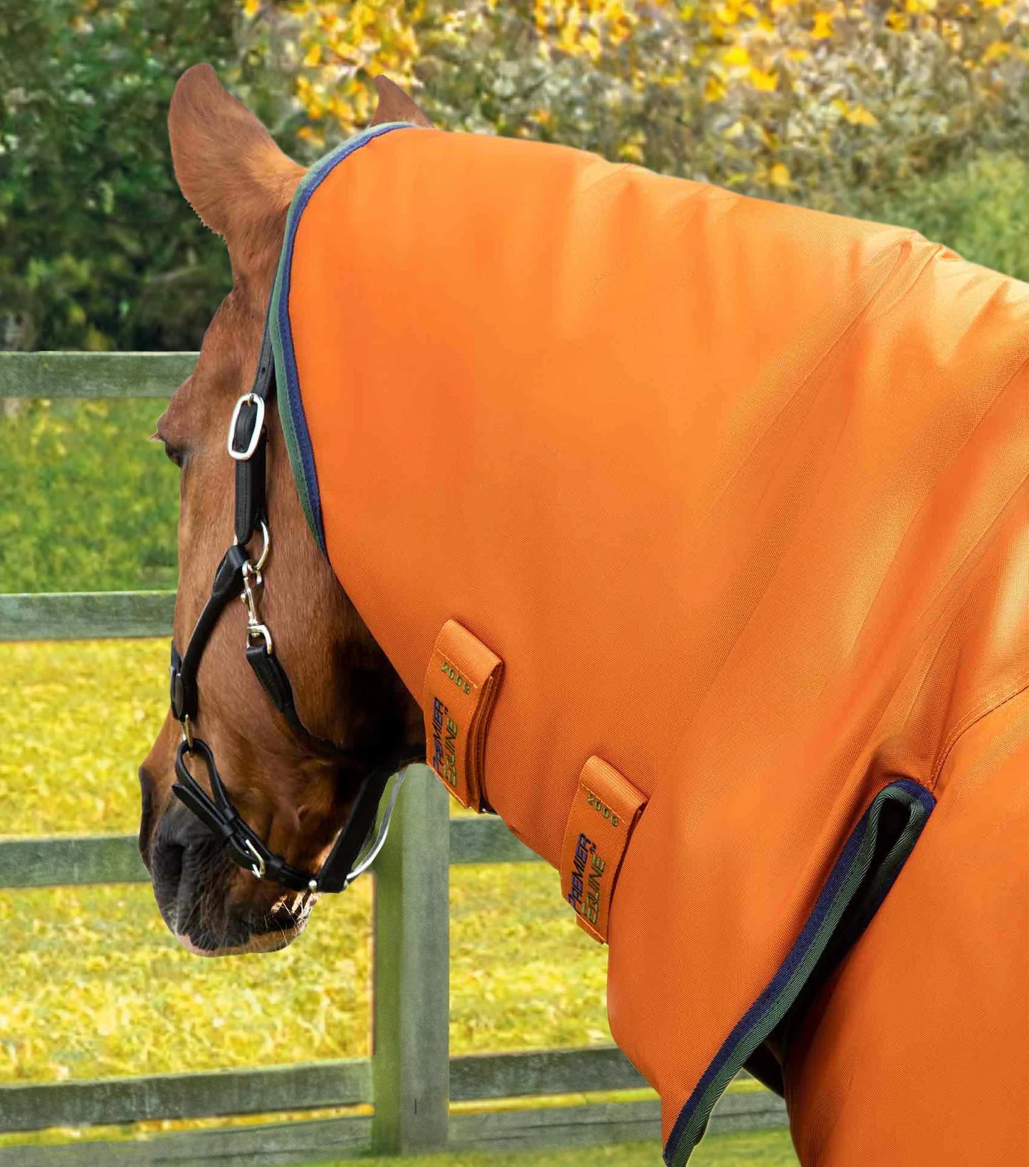 Couverture d'extérieur PREMIER EQUINE "BUSTER 840D" Storm 400g Combo avec couvre-cou classique intégré
