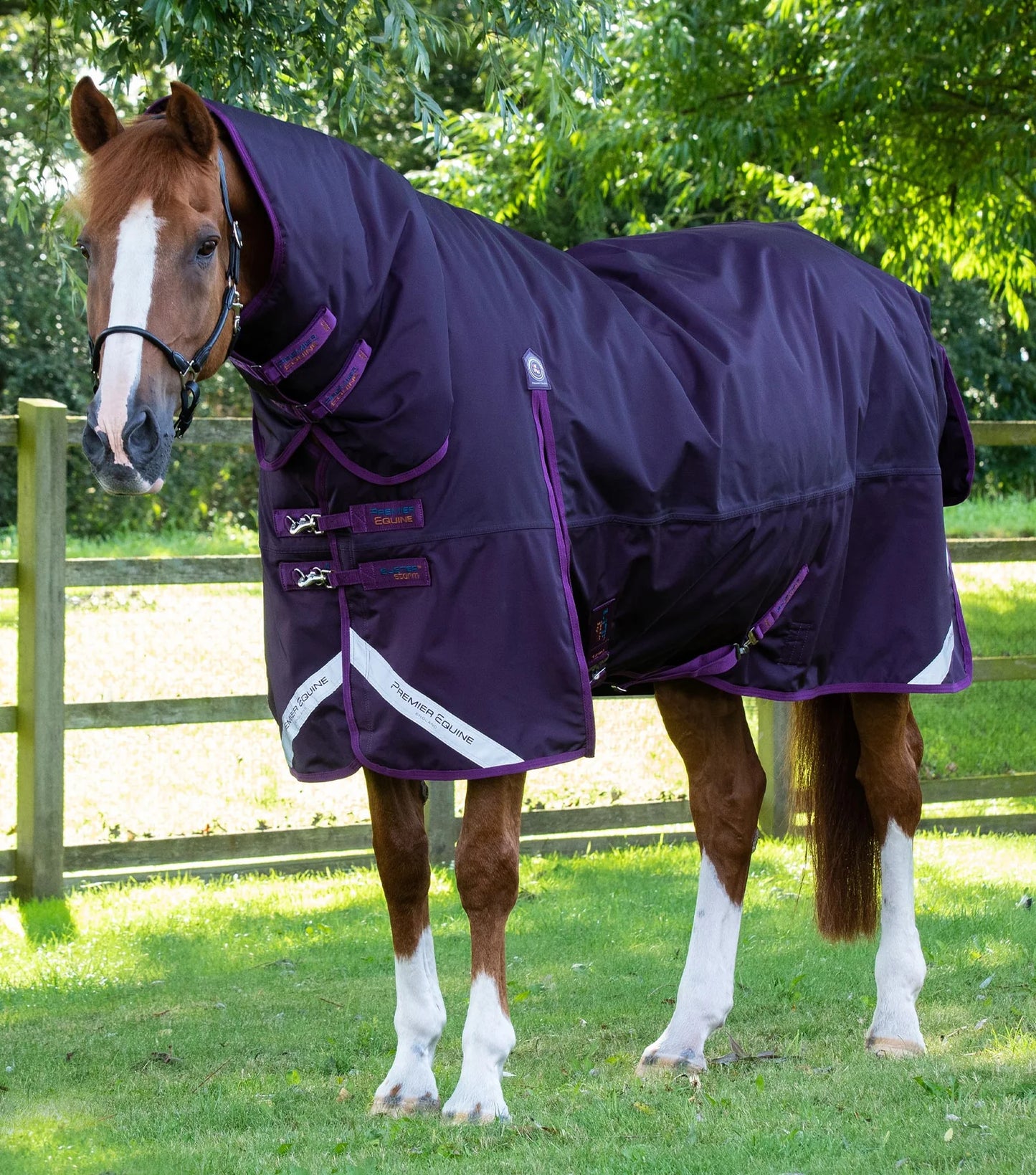 Couverture d'extérieur PREMIER EQUINE "BUSTER 840D" Storm 420g Combo avec couvre-cou classique intégré
