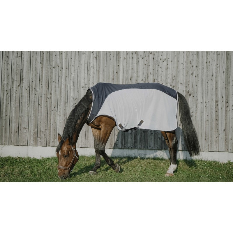 Chemise marcheur EQUITHÈME - Flycool