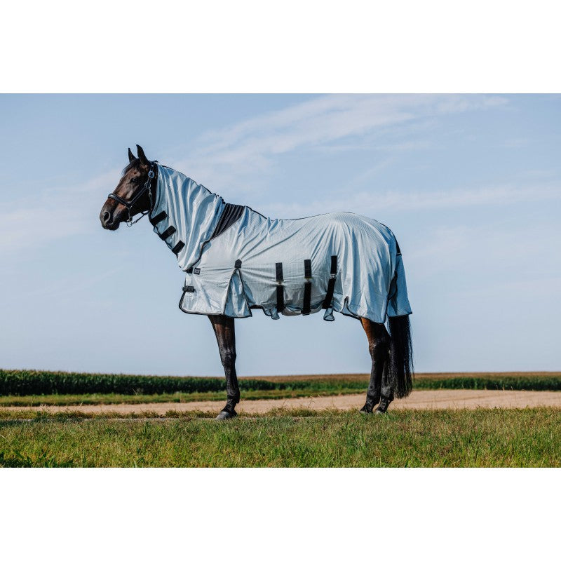 Chemise RIDING WORLD - Belly Mesh - Combo