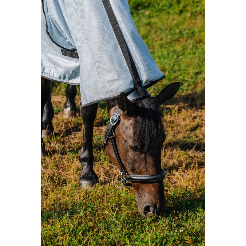 Chemise RIDING WORLD - Belly Mesh - Combo