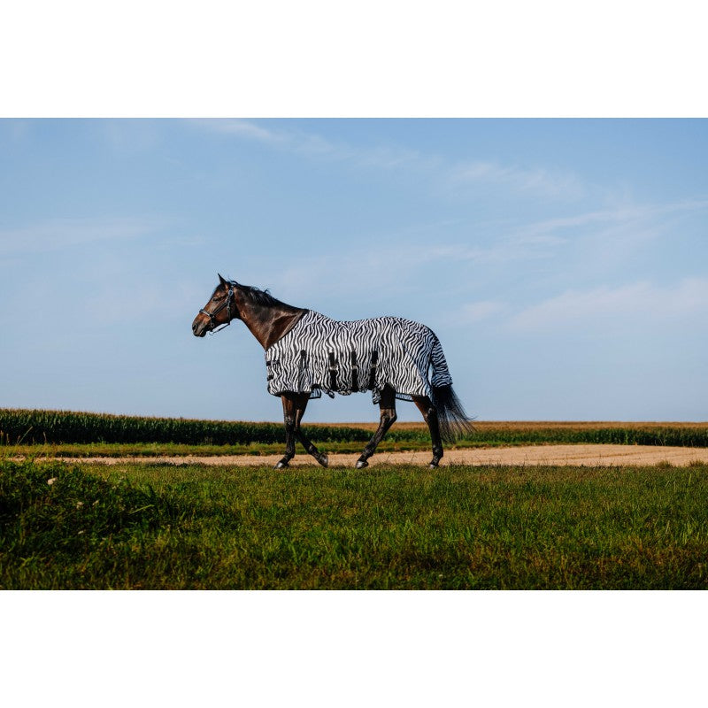 Chemise RIDING WORLD - Belly Mesh
