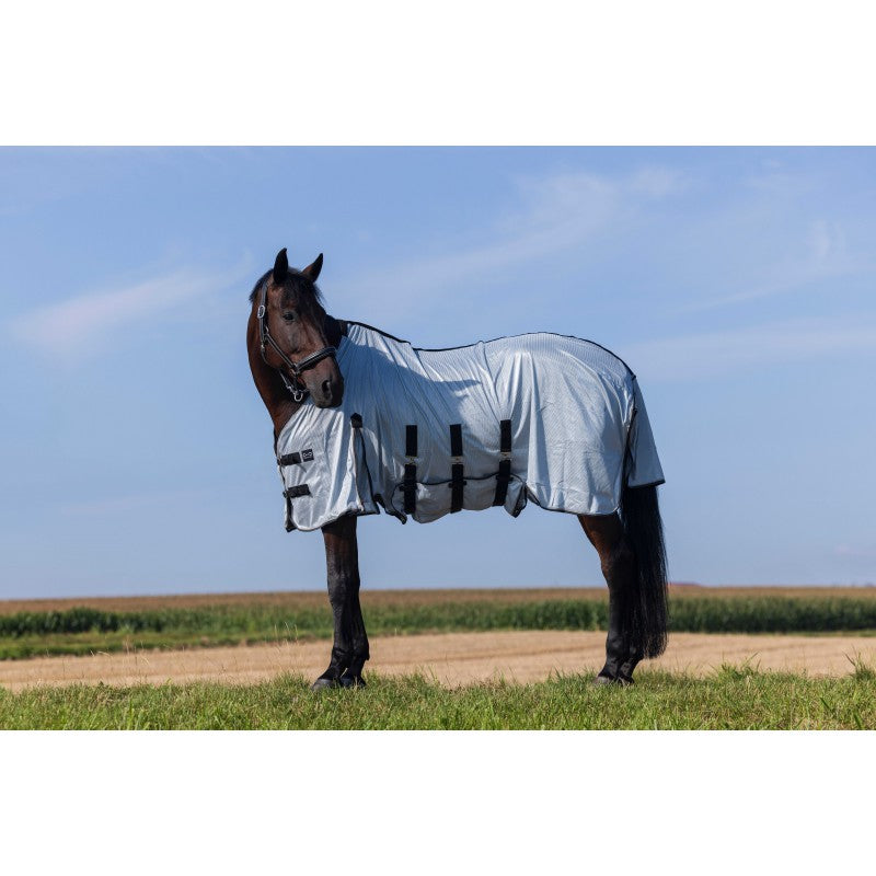 Chemise RIDING WORLD - Belly Mesh