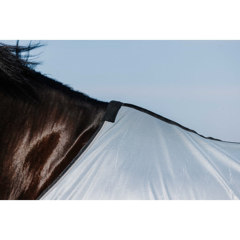 Chemise RIDING WORLD - Belly Mesh
