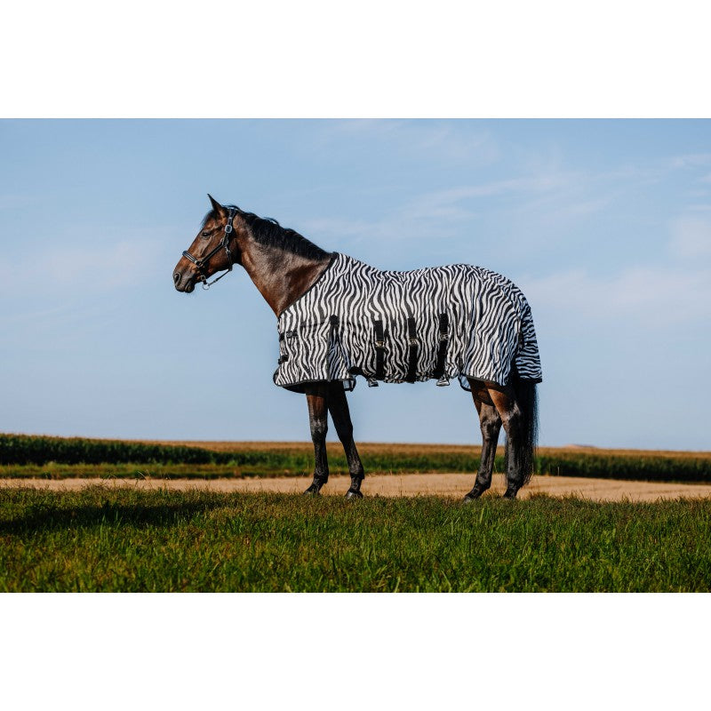 Chemise RIDING WORLD - Belly Mesh