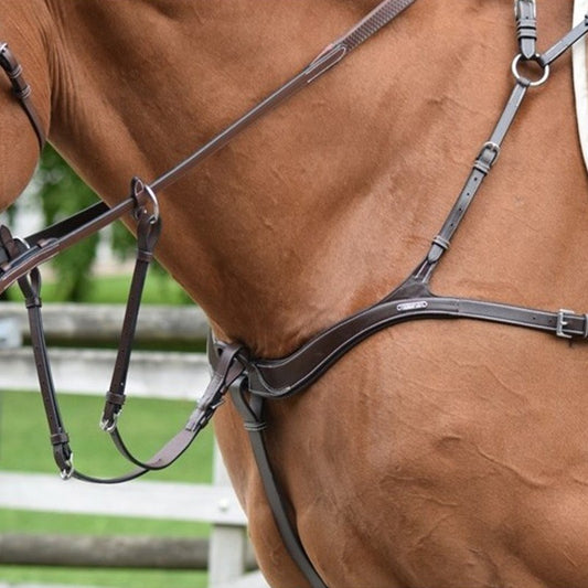 Collier de chasse JUMP'IN à 5 points et martingale