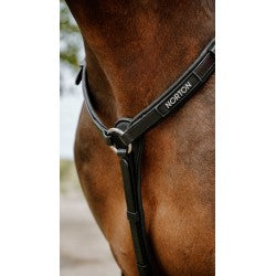 Collier de chasse Endurance NORTON - Pop - 4 coloris