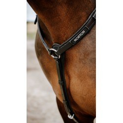 Collier de chasse Endurance NORTON - Pop - 4 coloris