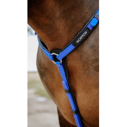 Collier de chasse Endurance NORTON - Pop - 4 coloris