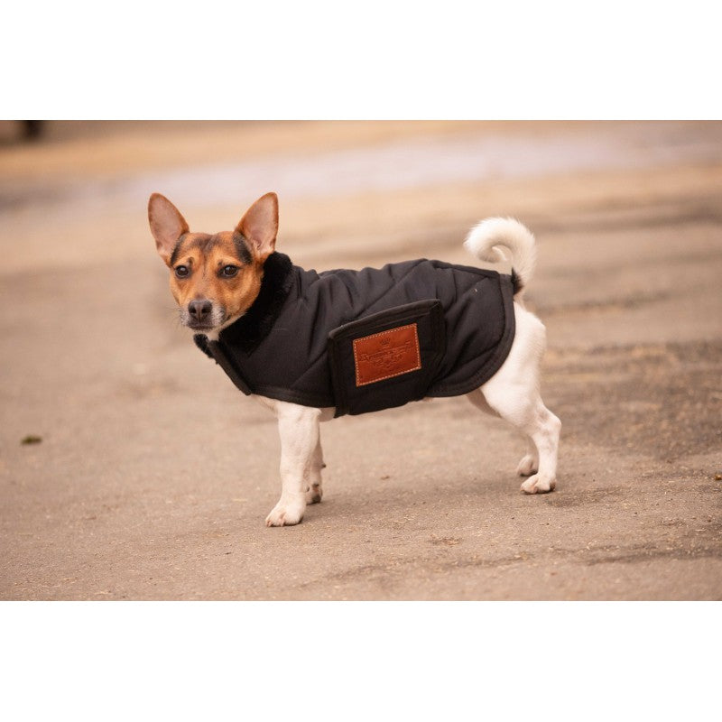 Couverture pour chien Diagonal - PADDOCK - 30 à 60 cm