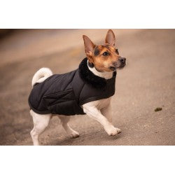 Couverture pour chien Diagonal - PADDOCK - 30 à 60 cm