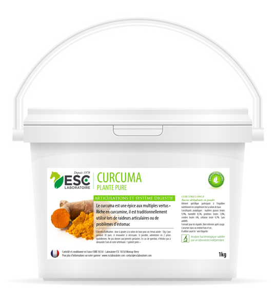 CURCUMA ESC - Articulations ou estomacs sensibles