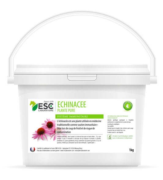 ECHINACEE ESC – Défenses immunitaires cheval – Plante pure